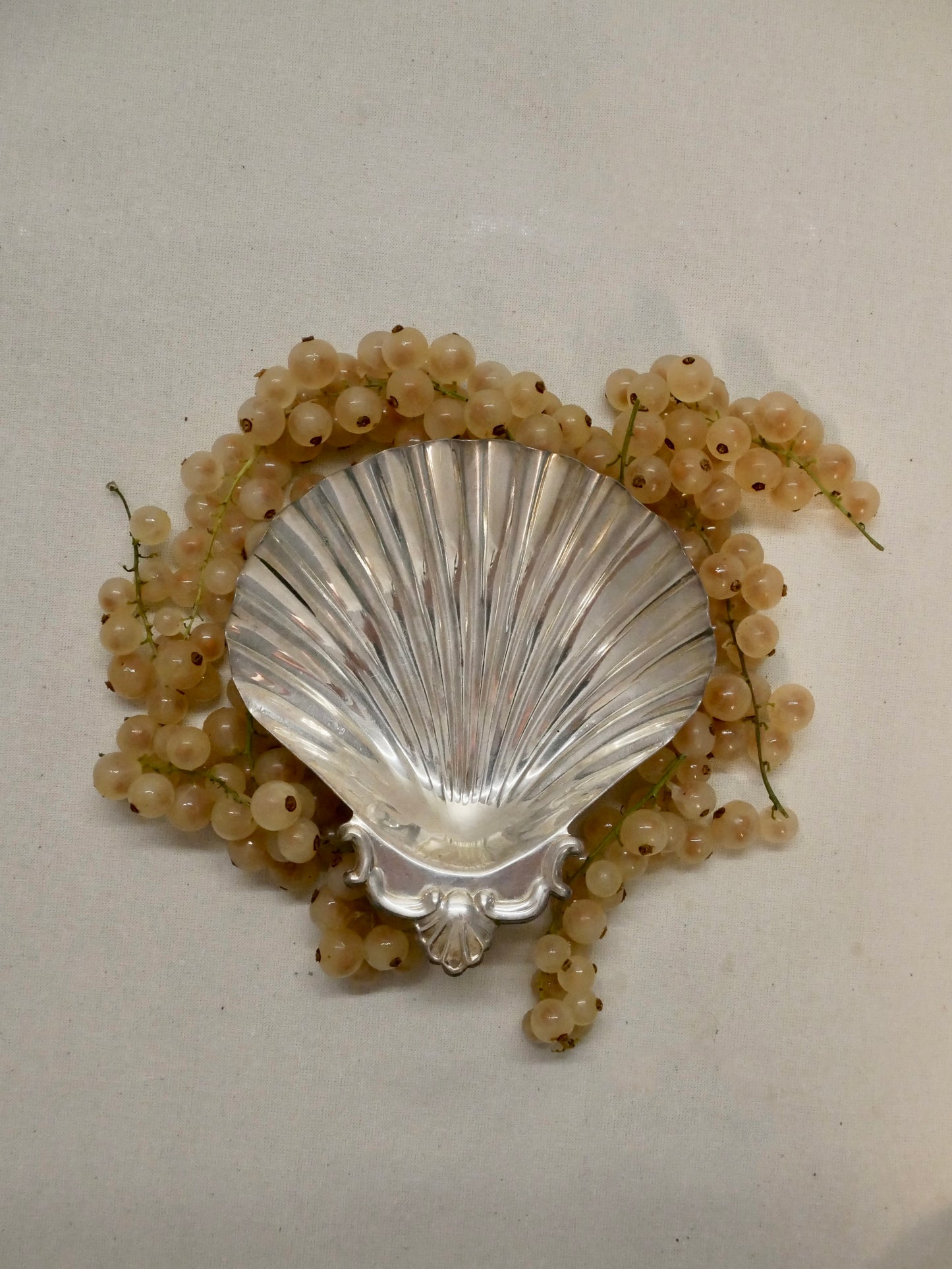 Versilberte Muschelschale