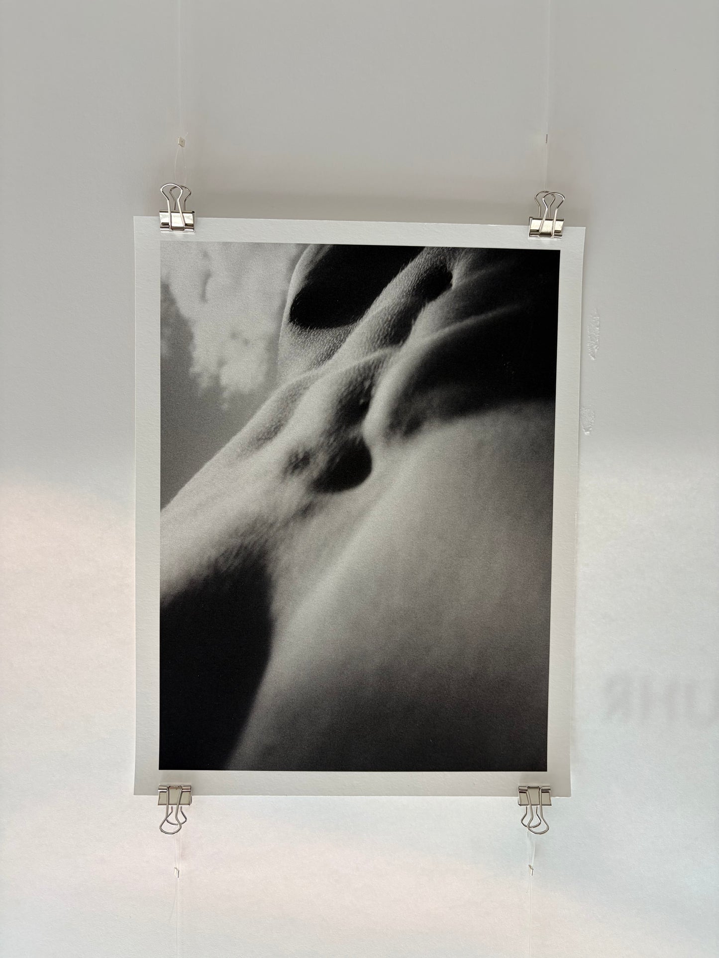 Fotoprint 'z' 45 – Zeitgeist von Xaver Haack, 2026