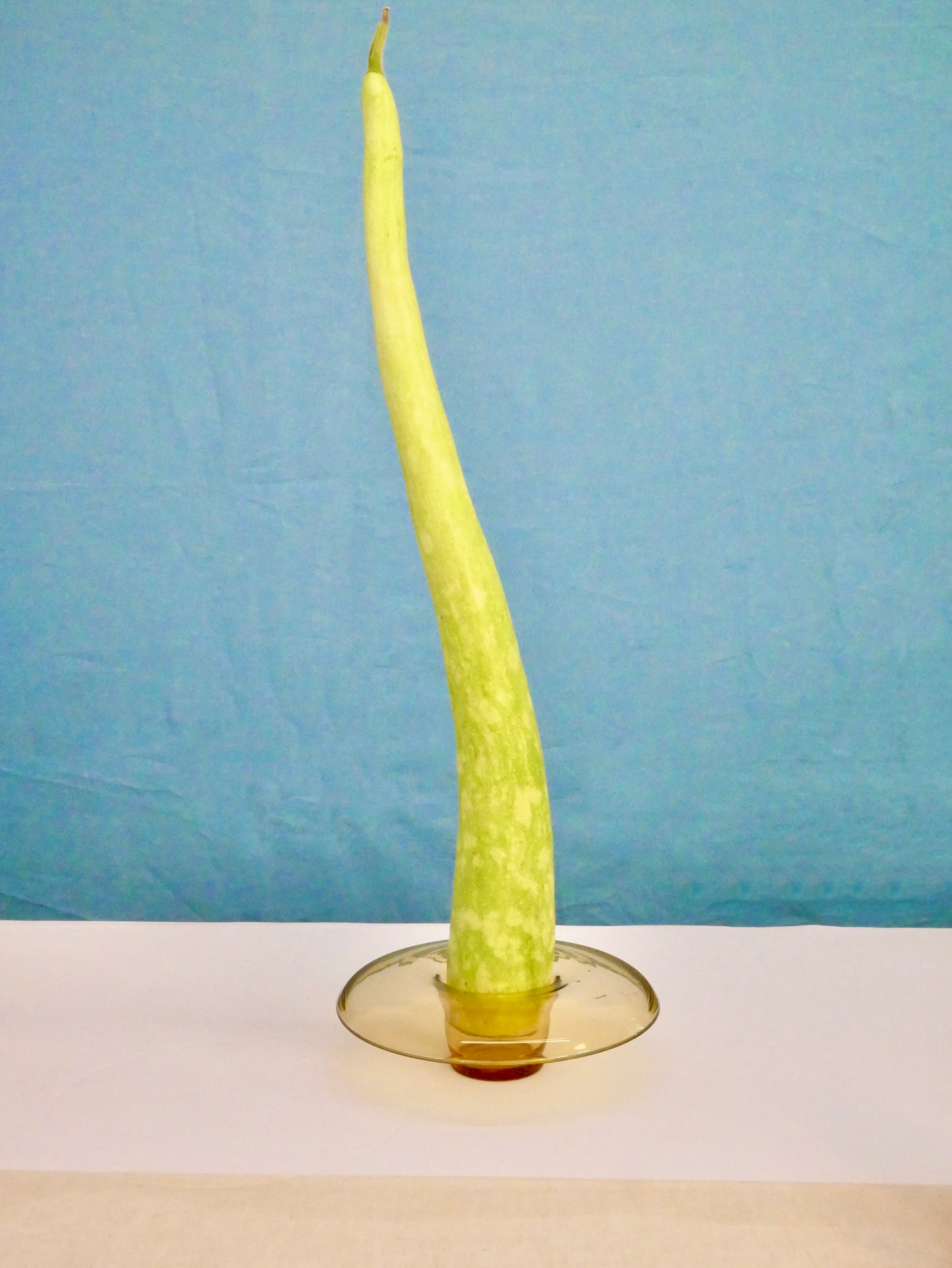 WMF glass object
