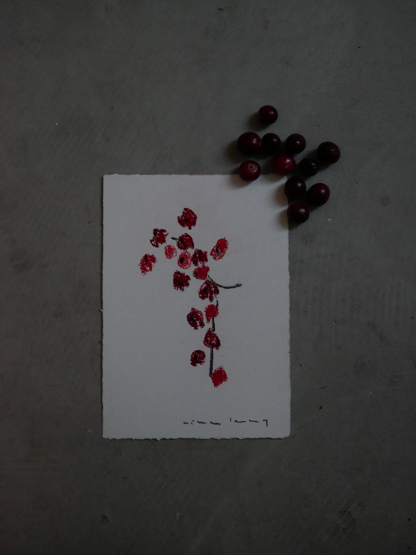 Illustrations | Greeting Cards | Nina Lang
