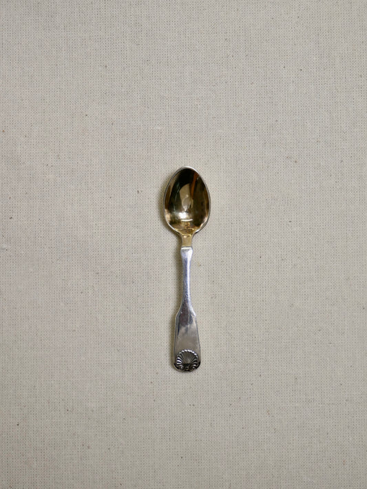 Mini shell salt spoon