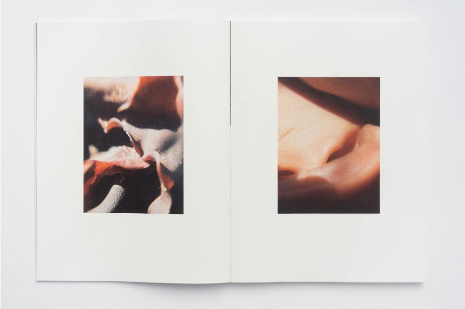 Fotobuch – Zeitgeist von Xaver Haack, 2026