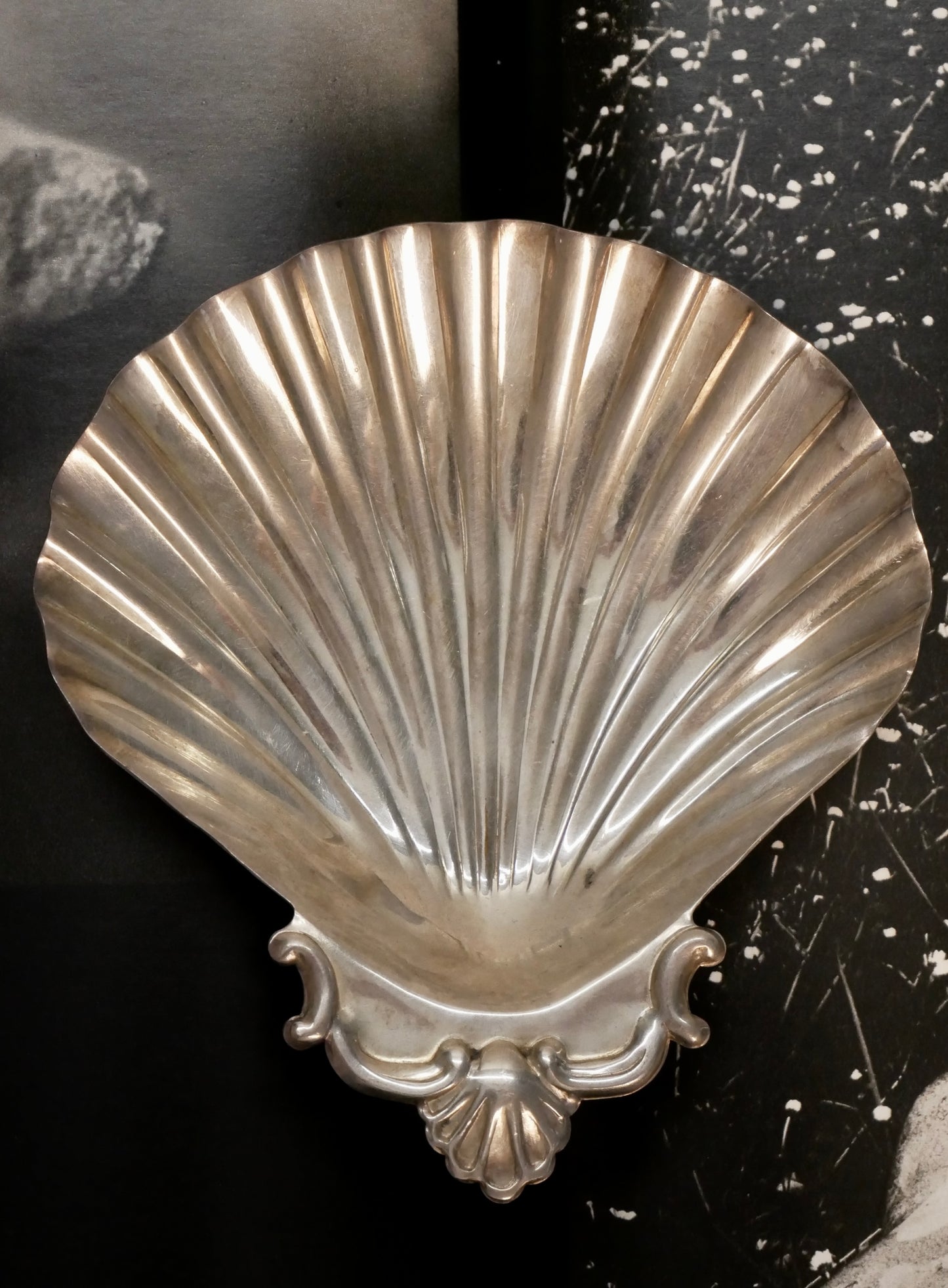 Versilberte Muschelschale