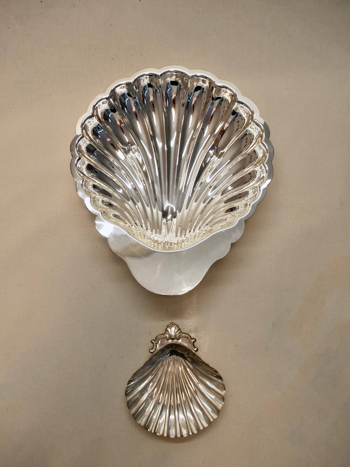 Versilberte große Muschelschale