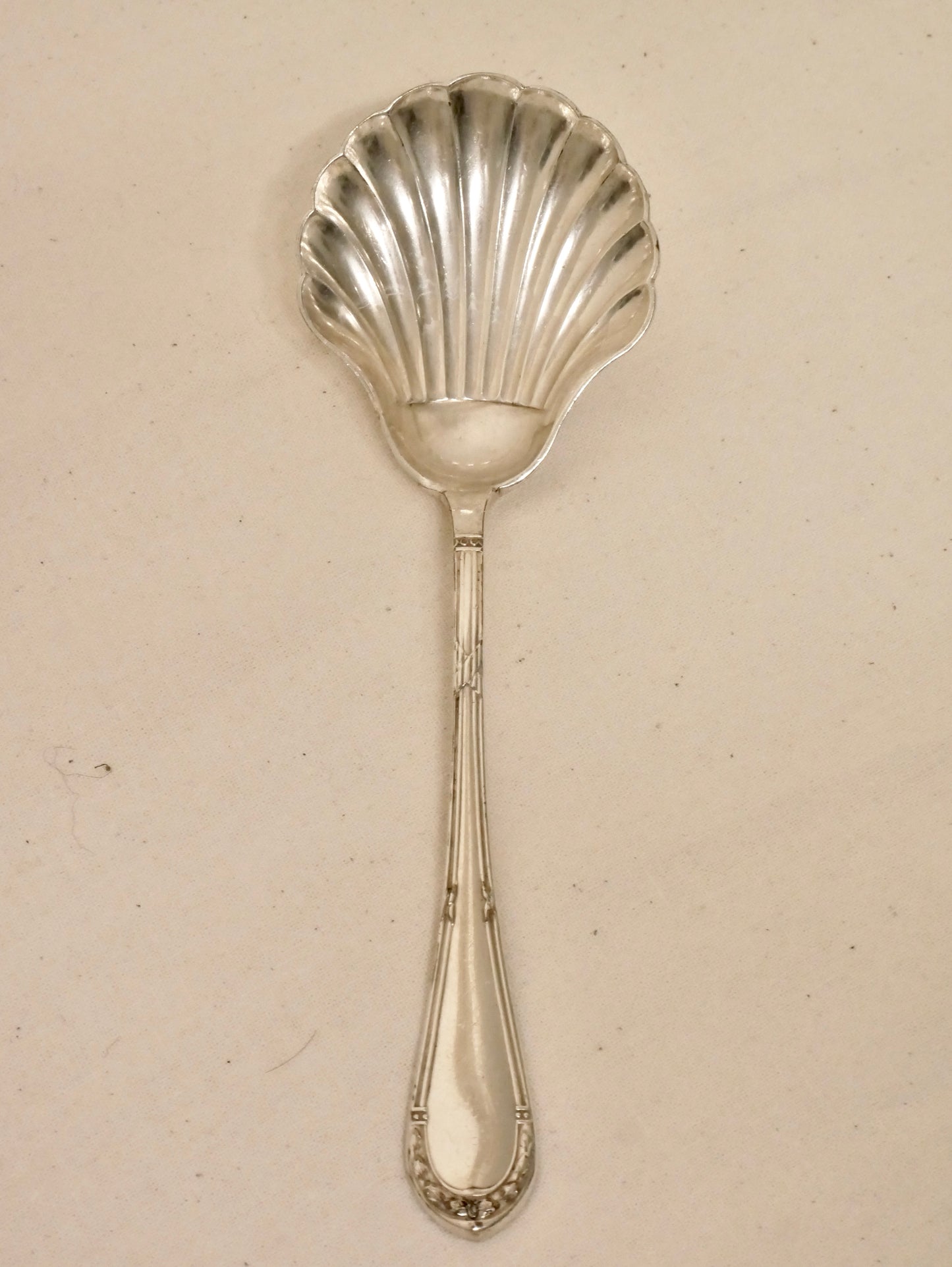 Muschel-Zuckerlöffel