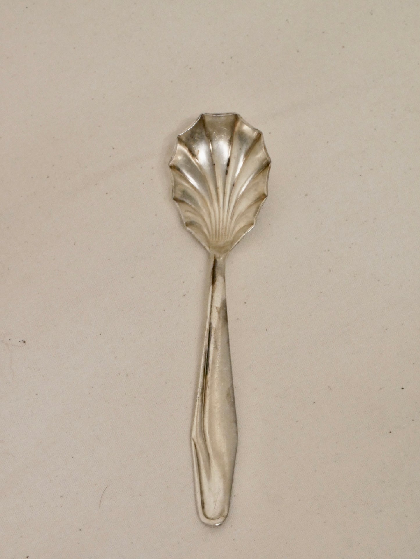 Muschel-Zuckerlöffel