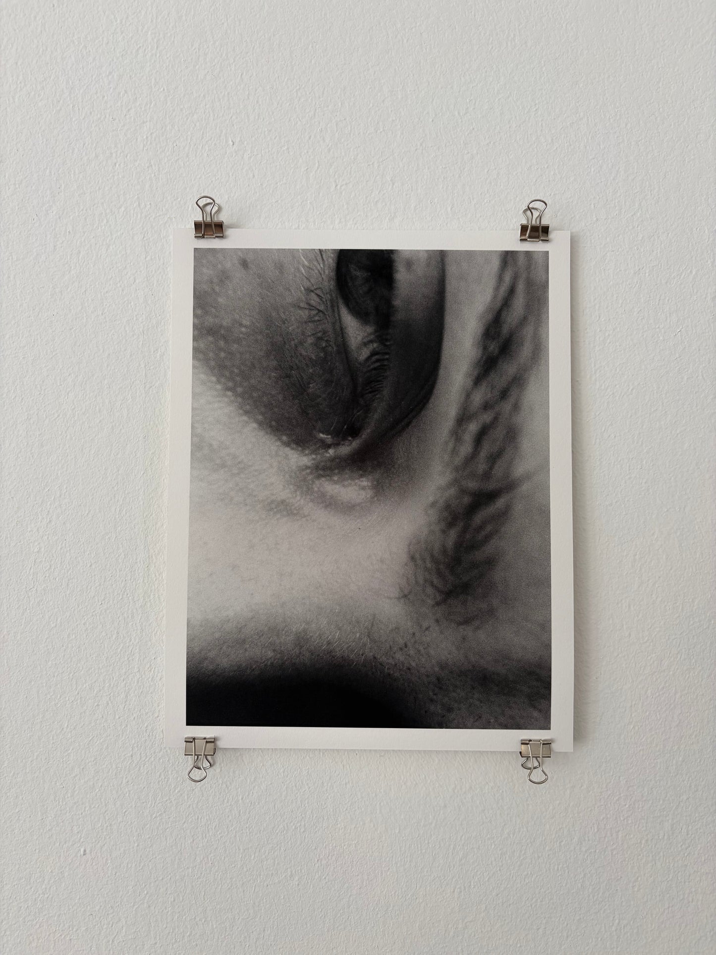 Fotoprint 'z' 70 – Zeitgeist von Xaver Haack, 2026