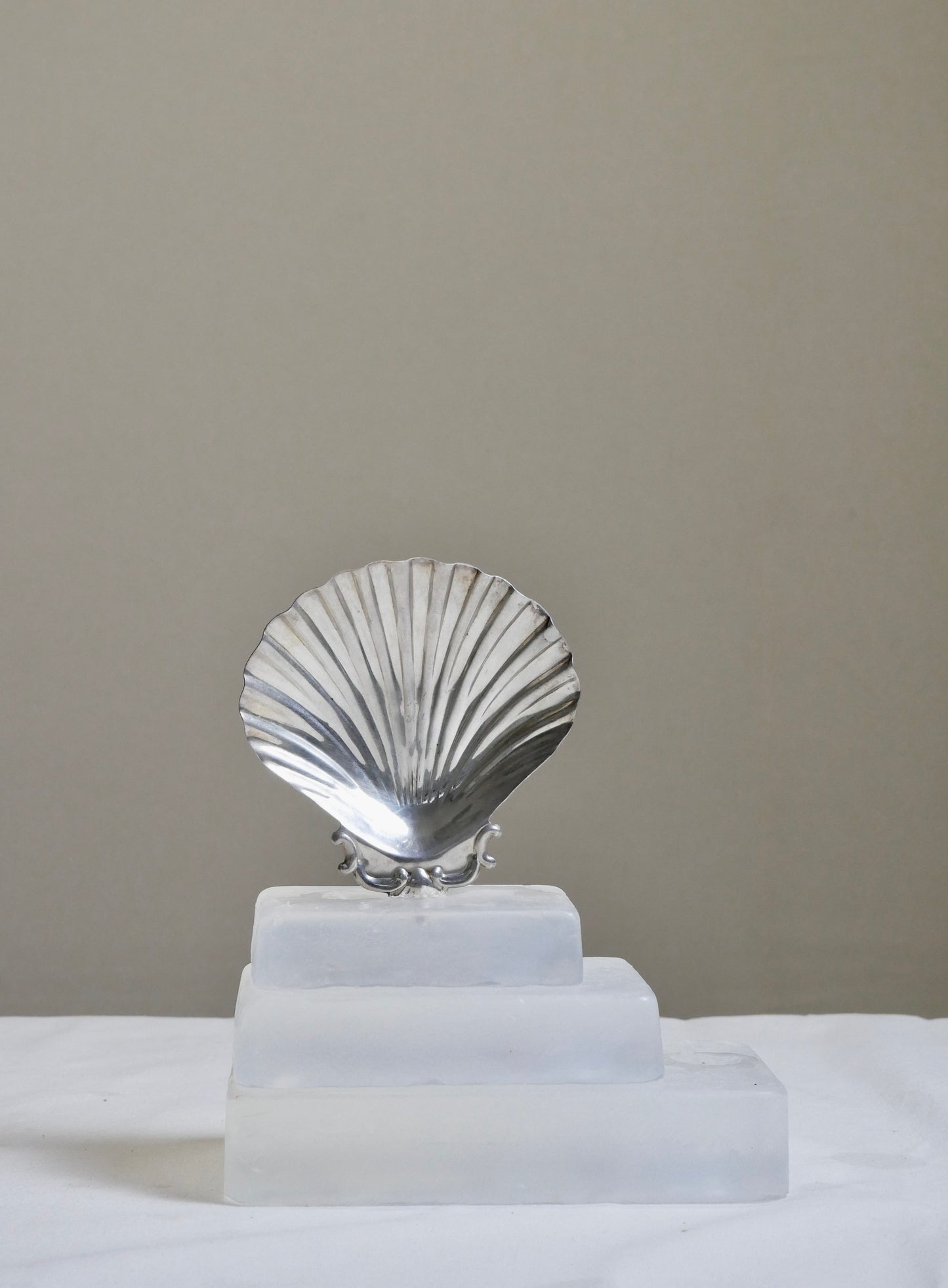 Versilberte Muschelschale