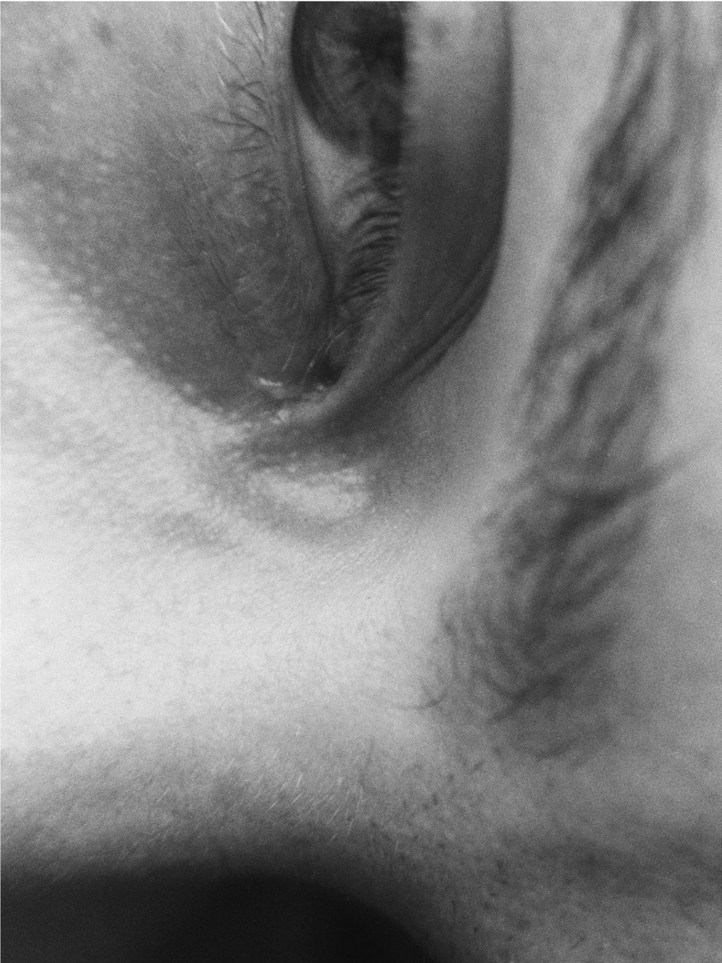 Fotoprint 'z' 70 – Zeitgeist von Xaver Haack, 2026